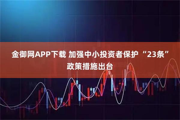 金御网APP下载 加强中小投资者保护 “23条”政策措施出台