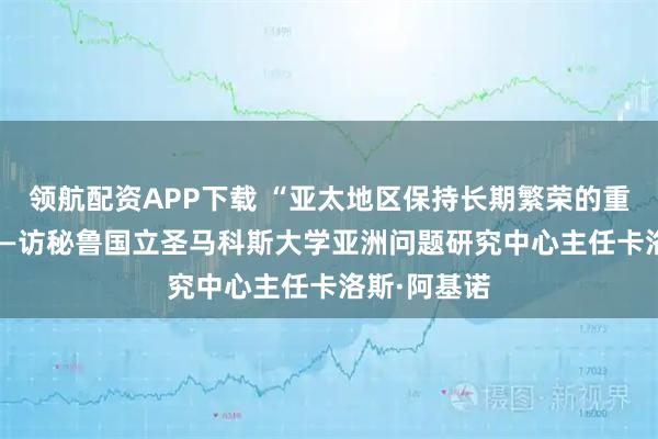 领航配资APP下载 “亚太地区保持长期繁荣的重要保障” ——访秘鲁国立圣马科斯大学亚洲问题研究中心主任卡洛斯·阿基诺