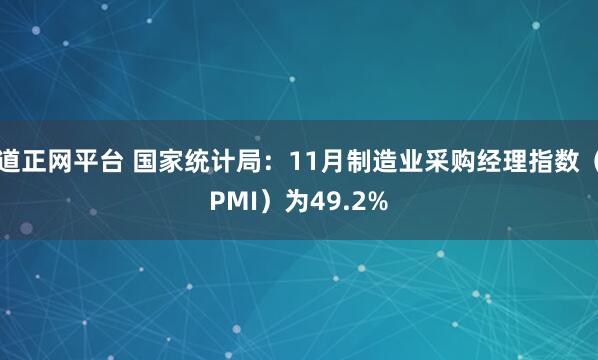 道正网平台 国家统计局：11月制造业采购经理指数（PMI）为49.2%