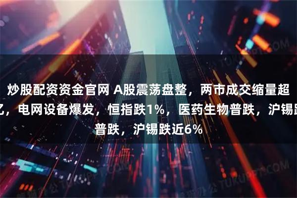 炒股配资资金官网 A股震荡盘整，两市成交缩量超3000亿，电网设备爆发，恒指跌1%，医药生物普跌，沪锡跌近6%