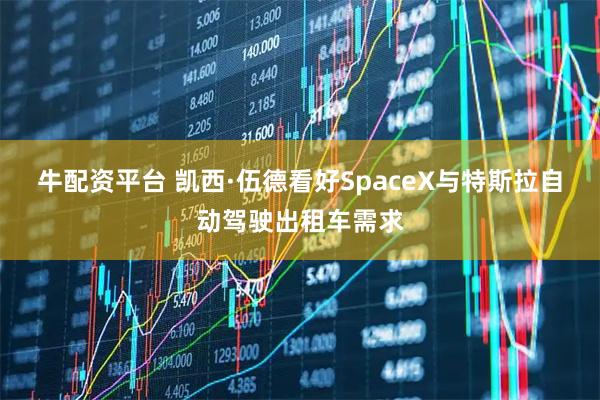 牛配资平台 凯西·伍德看好SpaceX与特斯拉自动驾驶出租车需求