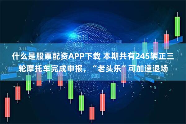 什么是股票配资APP下载 本期共有245辆正三轮摩托车完成申报,“老头乐”可加速退场